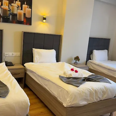 Hotel Lions Boutique Altinova (Yalova)