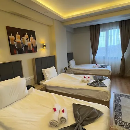 Hotel Lions Boutique 3*