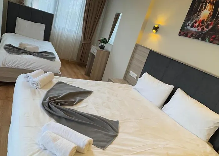 Lions Boutique 호텔 3*